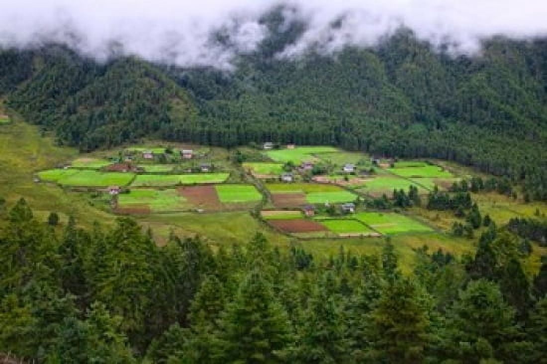 Houses and Farmlands Gangtey Village Bhutan Canvas Art - Keren Su DanitaDelimont (34 x 23)