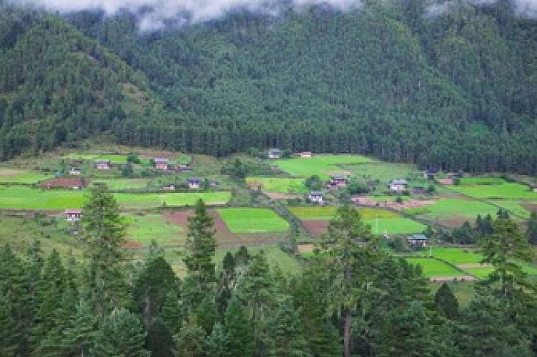 Houses and Farmlands in the Phobjikha Valley Bhutan Canvas Art - Keren Su DanitaDelimont (34 x 23)