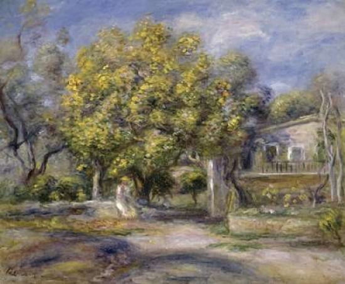 Houses at Cagnes Canvas Art - Pierre-Auguste Renoir (20 x 24)