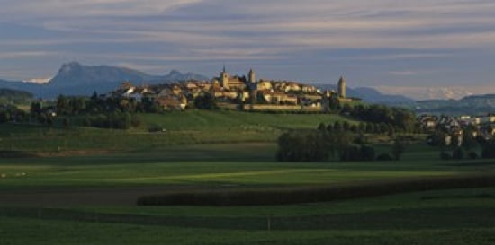 Houses on a hill Romont Switzerland Canvas Art - Panoramic Images (24 x 12)