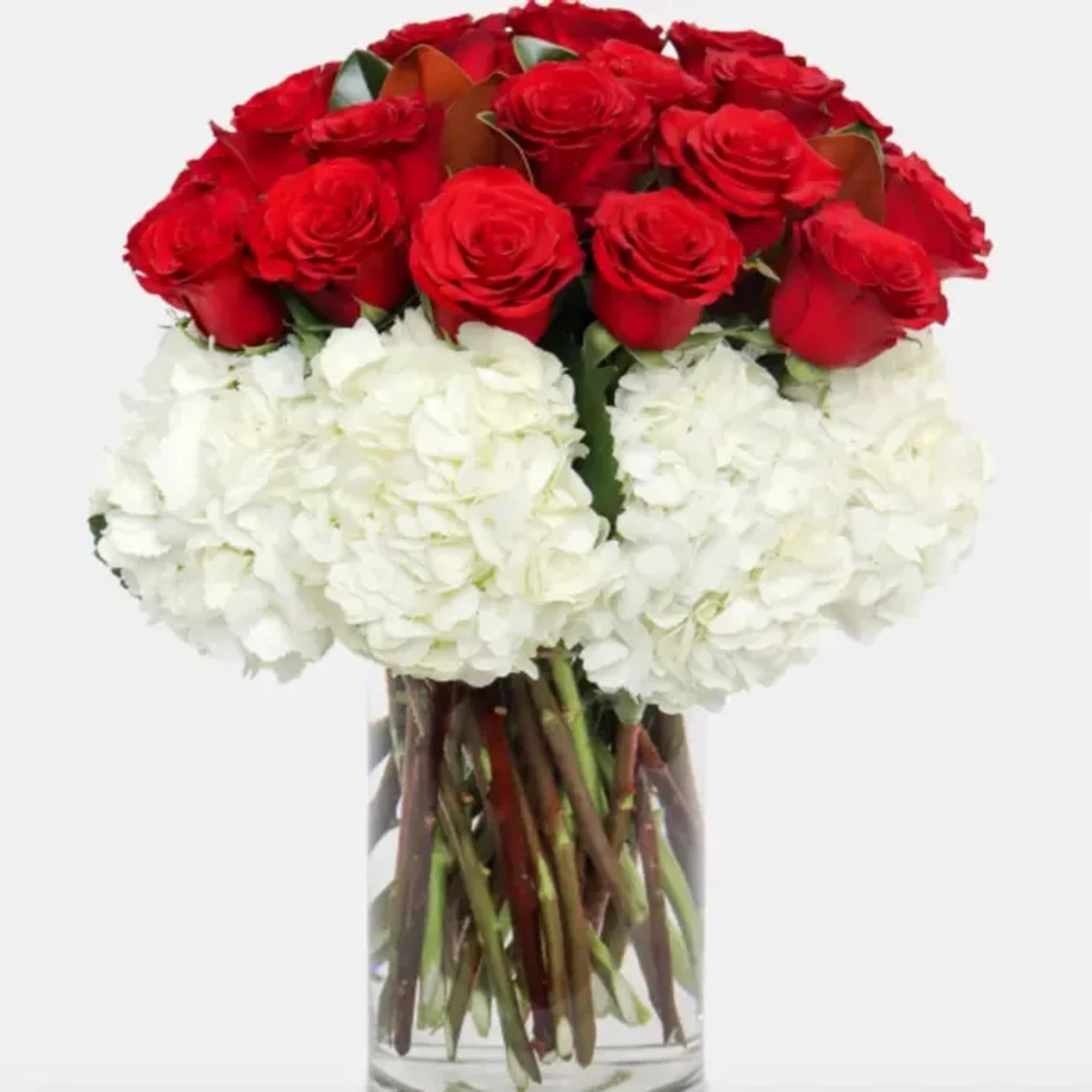 Red Roses Inhouston Houston Fresh Flowers Elegant Red Roses and Hydrangeas - Regular ...