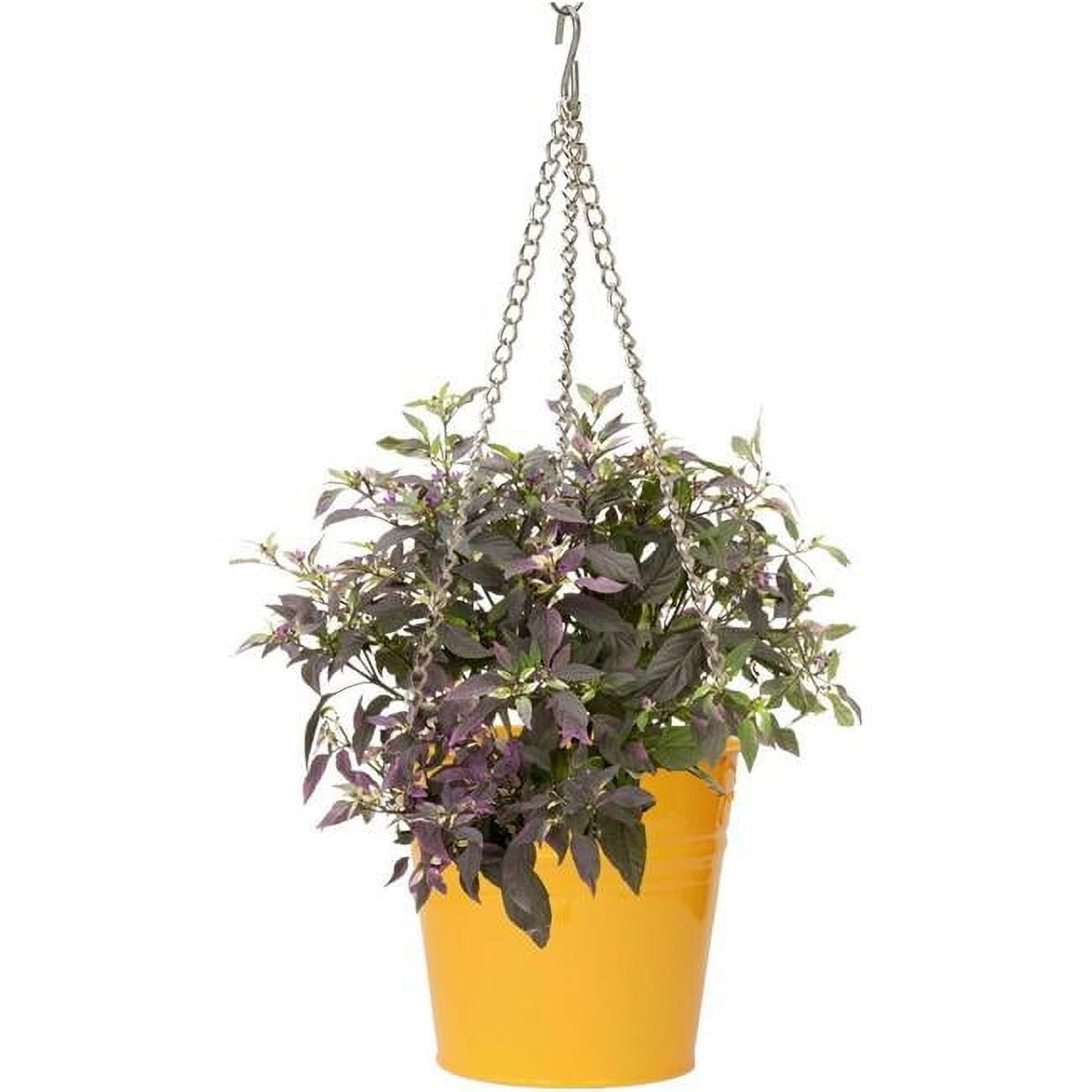 Houston International Trading 6151E SAFF S-2 9 x 9 in. Enameled Galvanized Steel Hanging Planter, Saffron Yellow - Set of 2