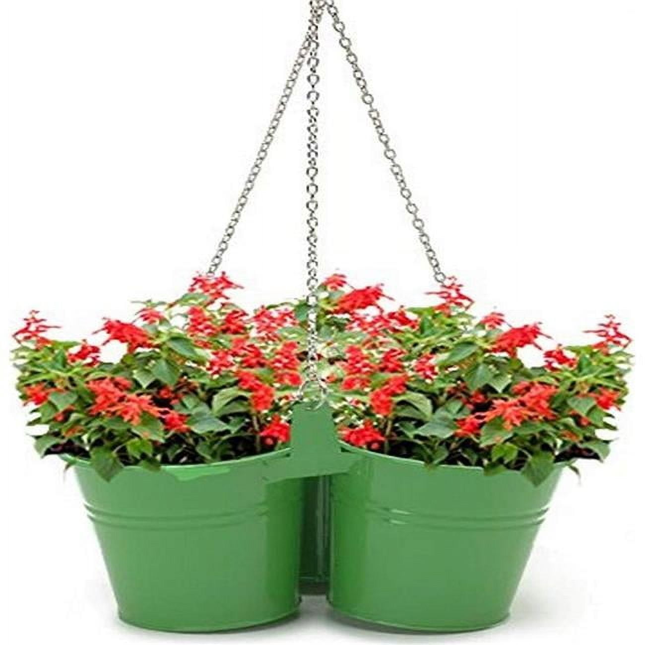 Houston International Trading 8118E AG S-2 7 x 7 x 6 in. Enameled Galvanized Steel Triple Hanging Planter for 6.5 in. Plants, Apple Green - Set of 2