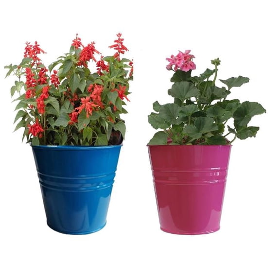 Houston International Trading 8136E B-HPK S/2 Enameled Galvanized Steel Planter for 6.5' Plants. Set of Two