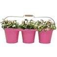 thumbnail image 1 of Houston International Trading 8333E HPK Enameled Galvanized Triple Planter with Wood Handle for 6.5 in. Pots, HotPink, 1 of 1