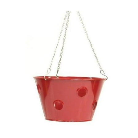 Houston International Trading 8396E XR Enameled Galvanized Hanging Strawberry, Herb, Floral Planter - Red