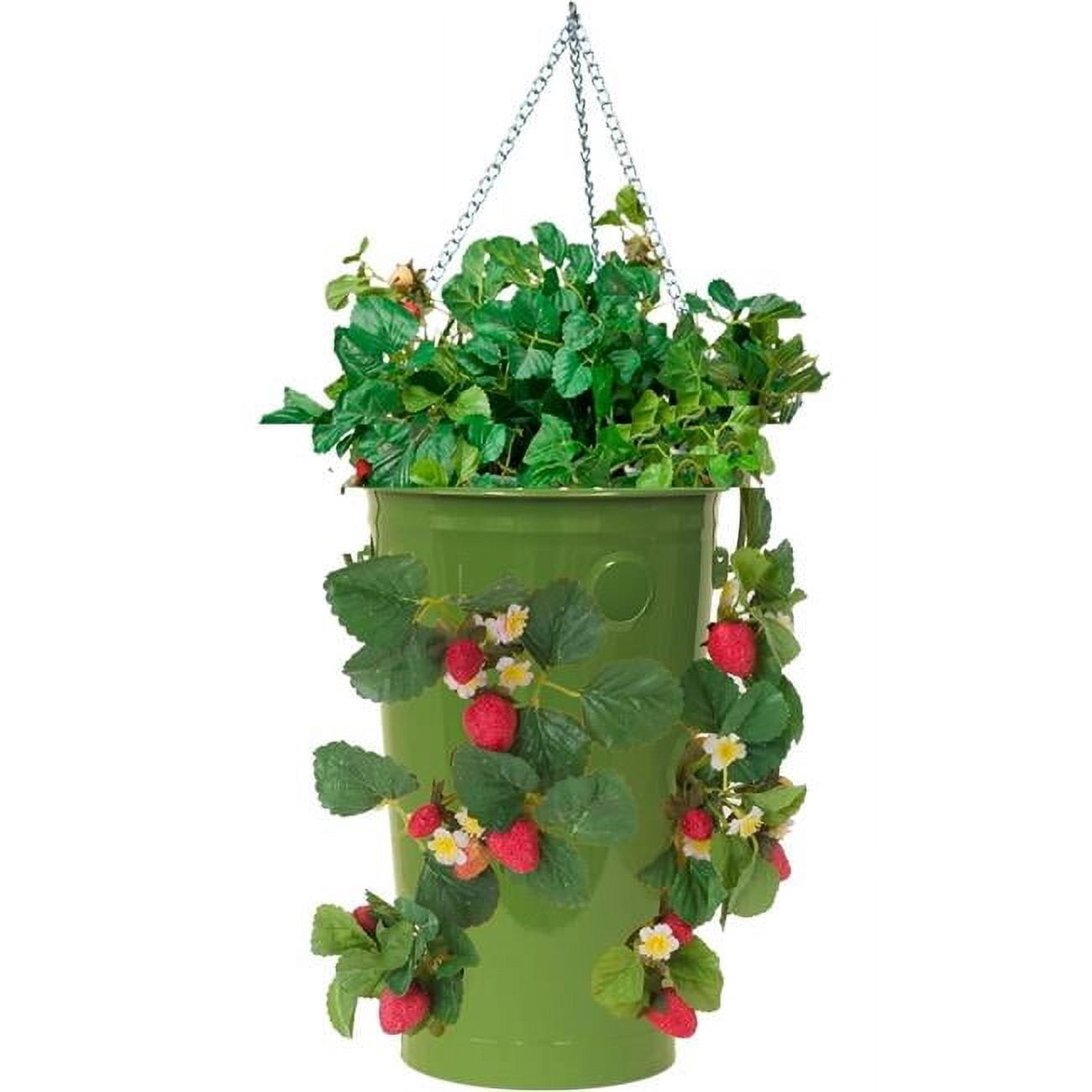 Houston International Trading 8399E SA S-2 13.5 x 13.5 x 8 in. Enameled Galvanized Steel Upside-down Hanging Planter, Sage Green - Set of 2