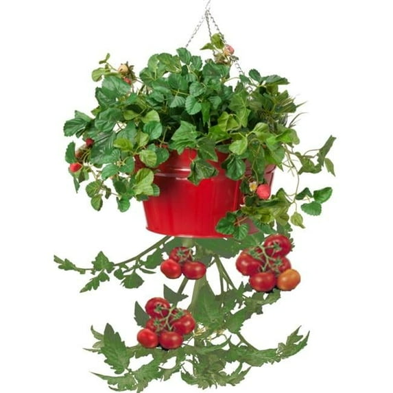 Houston International Trading 8399E XR Enameled Galvanized Hanging Strawberry, Floral Planter - Red