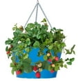 thumbnail image 1 of Houston International Trading 8495E B Enameled Galvanized Hanging Strawberry & Flower Planter, Blue, 1 of 2