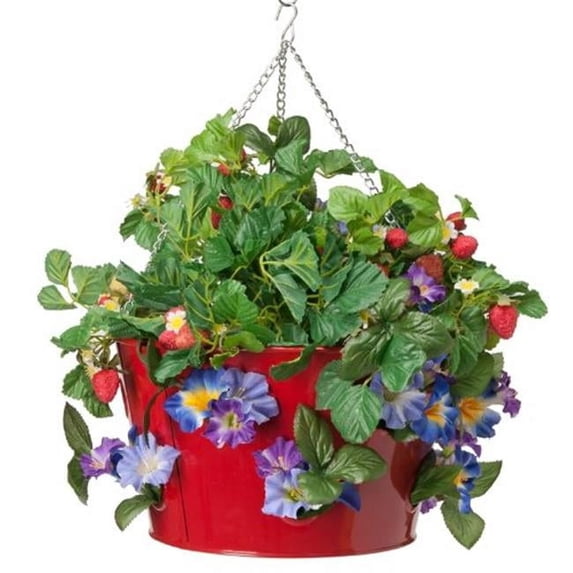 Houston International Trading 8495E XR Enameled Galvanized Hanging Strawberry & Flower Planter, Red