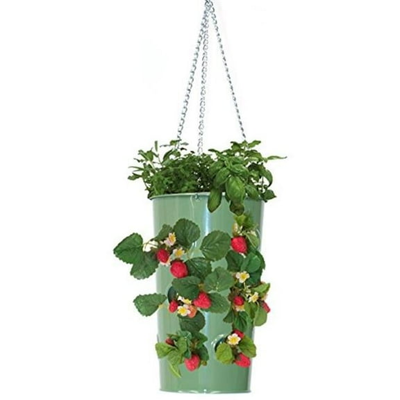 Houston International Trading Enameled Galvanized Hanging Strawberry, Floral Planter - AppleGreen