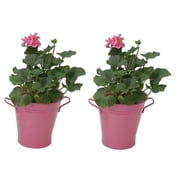 Houston Intl Trading 8135E HPK S/2 Houston Intl Trading 8135E HPK S/2 Galvanized Steel French Planter 7D x 7H