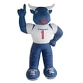 thumbnail image 1 of Houston Texans Inflatable Mascot, 1 of 5