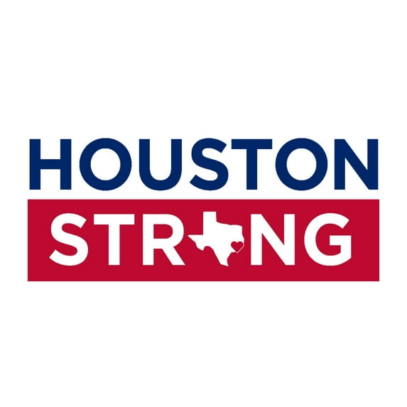 Houston, Texas, Houston Strong State Outline (16x24 Giclee Gallery Art Print, Vivid Textured Wall Decor)