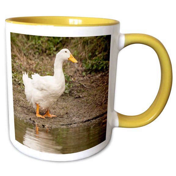 3drose, Houston, Texas, Usa. Domestic Pekin or Long Island Duck., 11oz Two-tone Yellow Mug