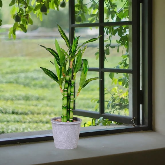 Hovilon Fake Bamboo Tree Plant Indoor Potted Plants,Fake Plants Artificial Green Plants Simulation Plant Potted Home Office Hotel Lobby Decoration Green Plants Home Decoration Artificial Plants