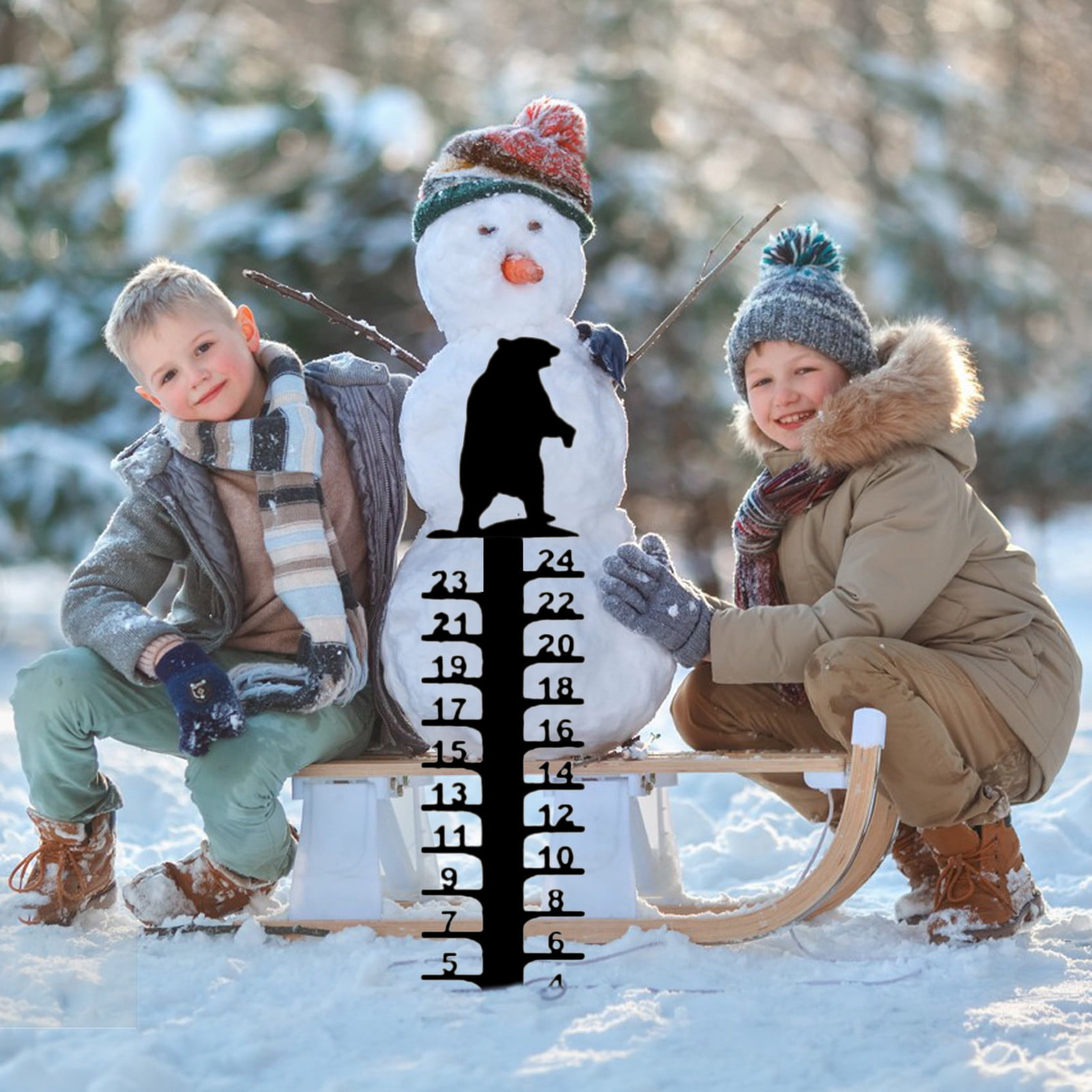 Hovmgk Metal Snow Gauge, Heavy Duty Snow Measuring Tool, Yard Stake for ...