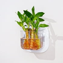 Hovmgk Wall Mounted Storage Box, Transparent Hydroponic Fish Tank or Flowerpot, Compact Office & Living Room Storage Casket, Durable Plastic Organizer for Space Saving, Multi-Use