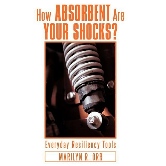 How Absorbent Are Your Shocks?: Everyday Resiliency Tools