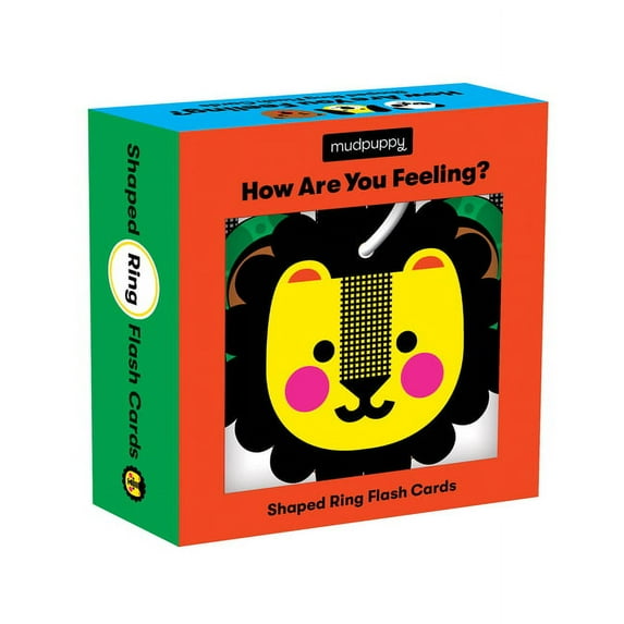 How Are You Feeling? Shaped Ring Flash Cards (Cards)