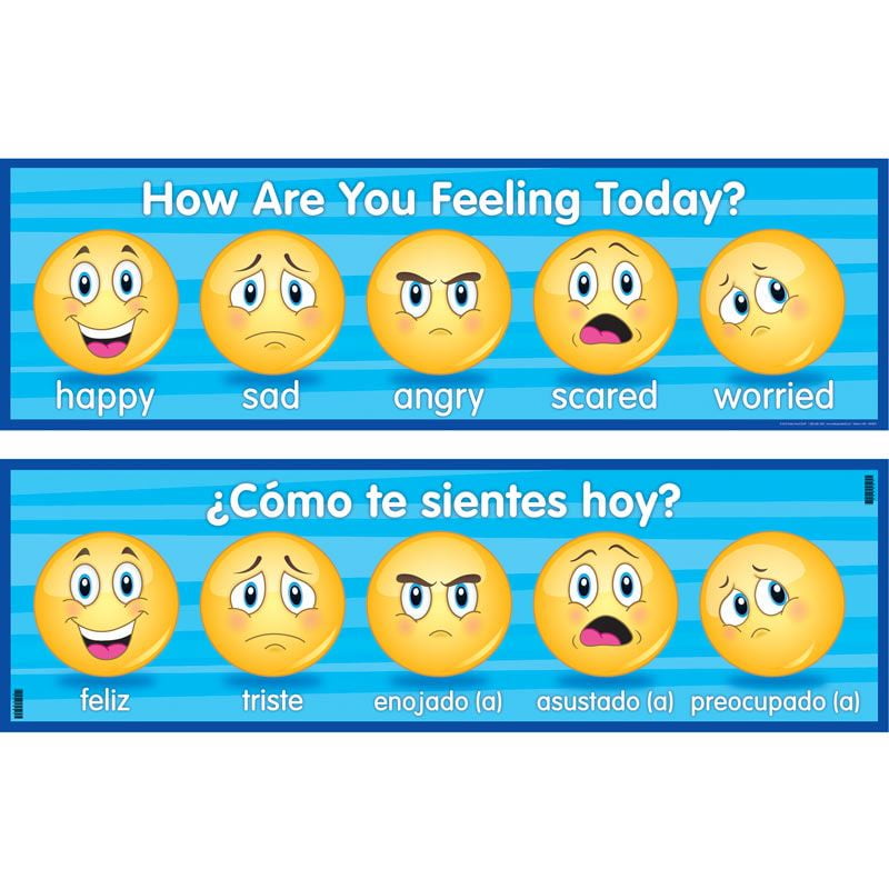 How Are You Feeling Today? Banner - English/Spanish - Walmart.com