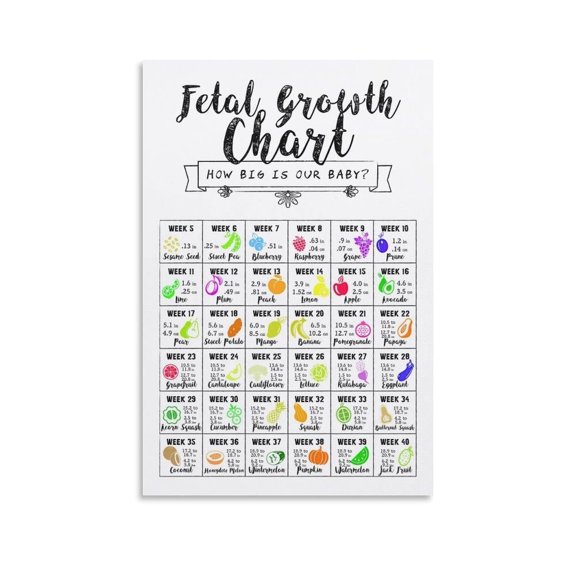 How Big Is Our Baby Fetal Growth Chart Poster Baby Growth Poster