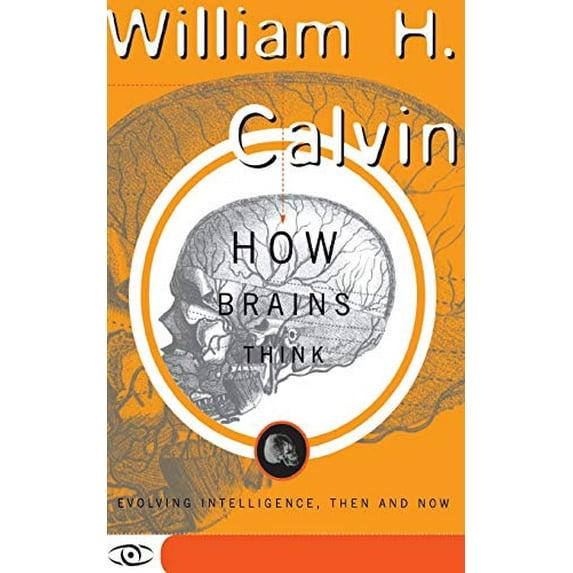 Pre-Owned How Brains Think: Evolving Intelligence, Then and Now (Paperback) 046507278X 9780465072781
