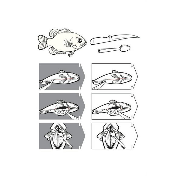 How to Clean a Fish Fishmonger or Butchers Diagram Cool Fish Poster Aquatic Wall Decor Fish Pictures Wall Art Infographic Picture of Fish for Wall Butcher Poster Cool Wall Art Print Poster 16x24