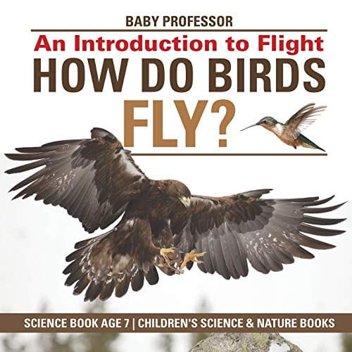 Pre-Owned How Do Birds Fly? An Introduction to Flight - Science Book Age 7