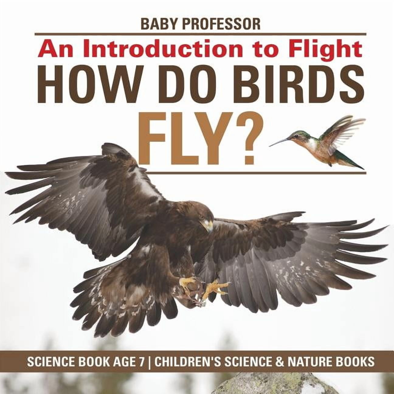 How Do Birds Fly? An Introduction to Flight - Science Book Age 7 ...