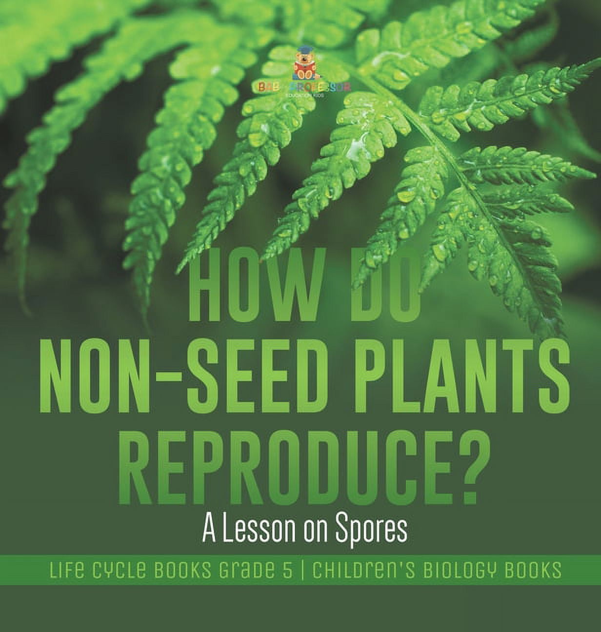 How Do NonSeed Plants Reproduce? A Lesson on Spores Life Cycle Books