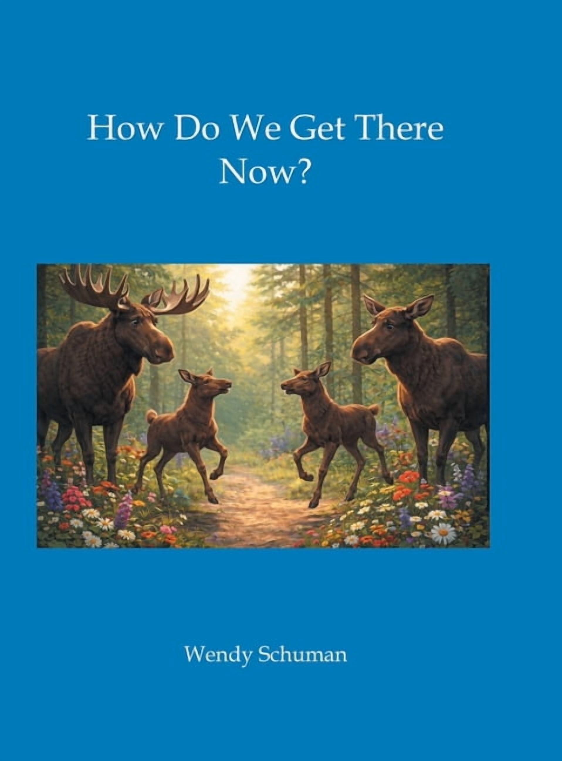 How Do We Get There Now?, (Hardcover)