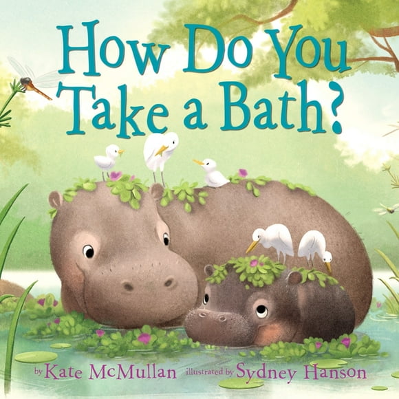 How Do You Take a Bath? (Hardcover)