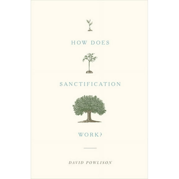 How Does Sanctification Work? (Paperback)
