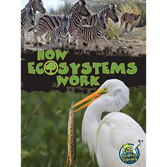Pre-Owned Rourke Educational Media How Ecosystems Work (My Science Library), 9781618102201, 1618102206, Paperback,