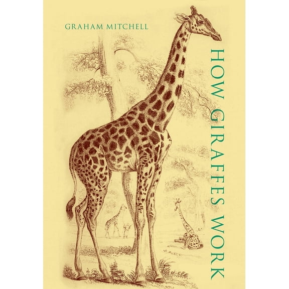 How Giraffes Work, (Hardcover)