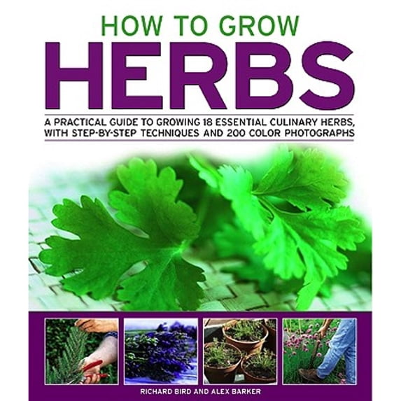 Pre-Owned How to Grow Herbs : A Practical Guide to Growing 18 Essential Culinary Herbs, with Step-by-Step Techniques and 200 Colour Photographs (Paperback) 9781844766888