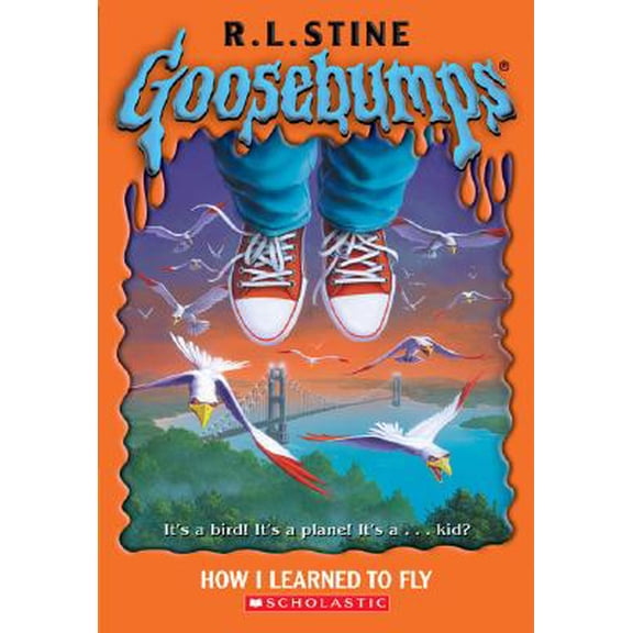 Pre-Owned How I Learned to Fly