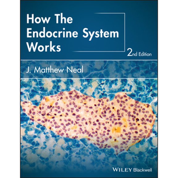Pre-Owned How the Endocrine System Works (Paperback) 1118931483 9781118931486