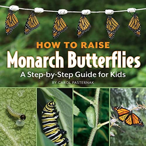 Pre-Owned How to Raise Monarch Butterflies: A Step-By-Step Guide for Kids (Hardcover) 1770850015 9781770850019