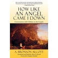 thumbnail image 1 of Pre-Owned How Like an Angel Came I Down (Paperback) 094026238X 9780940262386, 1 of 1