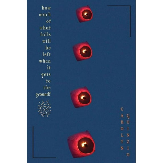 How Much Of What Falls Will Be Left When It Gets To The Ground?, (Paperback)