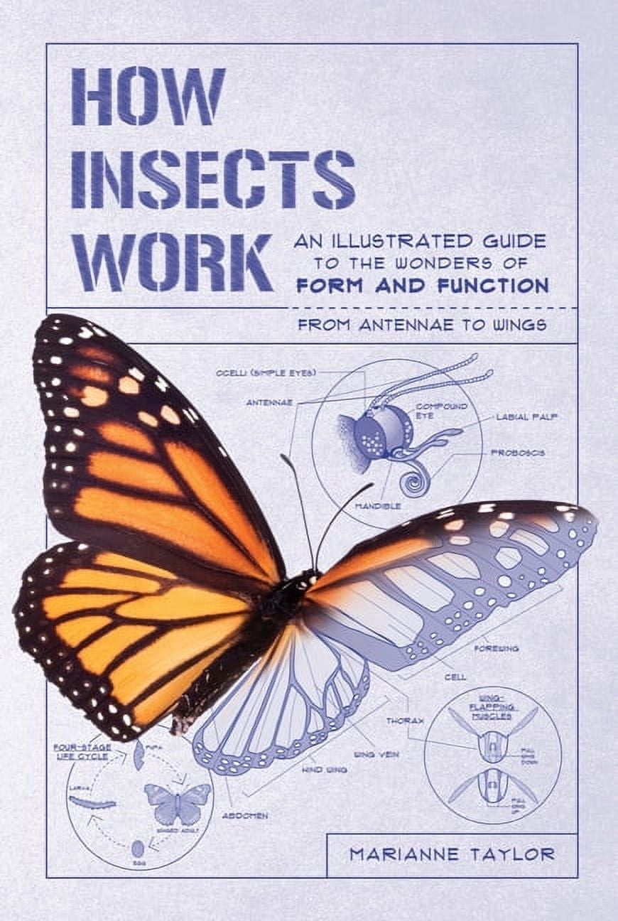 Work Men Insect How Nature Works How Insects Work: An Illustrated Guide to the Wonders ...
