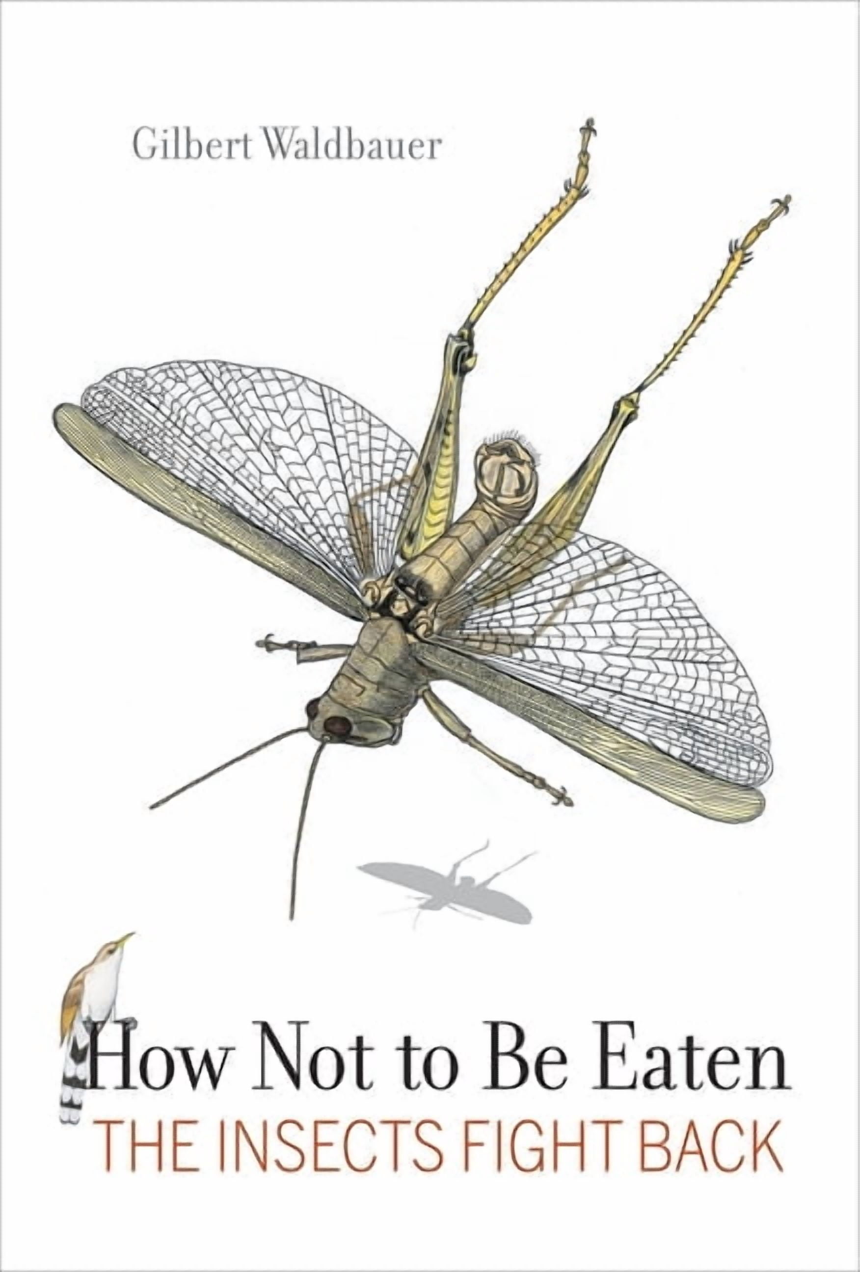 How Not to Be Eaten: The Insects Fight Back, (Paperback) - Walmart ...