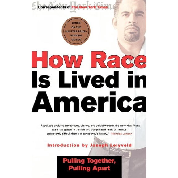 How Race Is Lived in America : Pulling Together, Pulling Apart (Paperback)