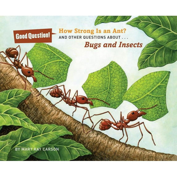 How Strong Is an Ant?: And Other Questions About... Bugs and Insects (Paperback) by Mary Kay Carson