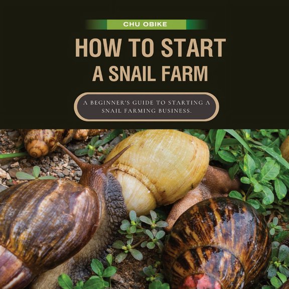 How To Start A Snail Farm ( A beginner guide to African Giant Land Snails): A Beginner's Guide to Starting a Snail Farmi, (Paperback)