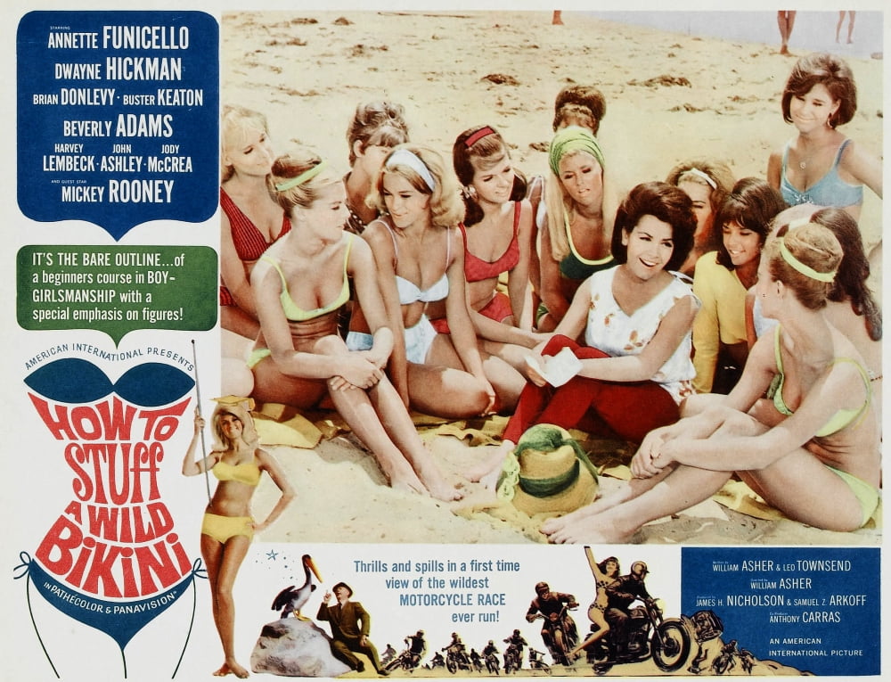 How To Stuff A Wild Bikini Canvas Art - (28 x 22)