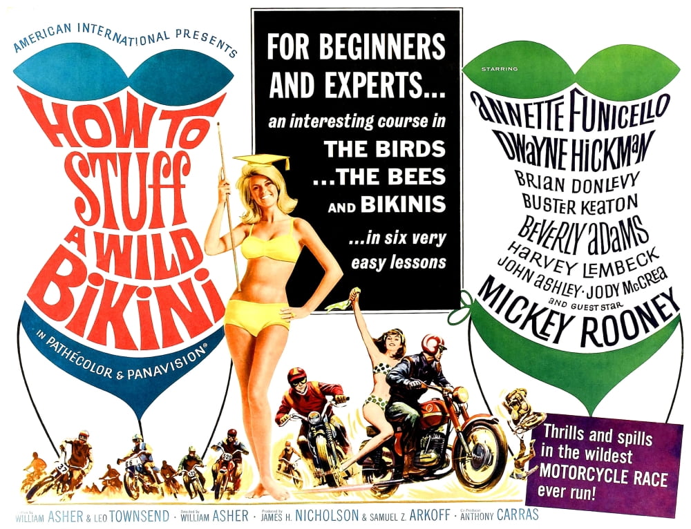 How To Stuff A Wild Bikini Canvas Art - (28 x 22)