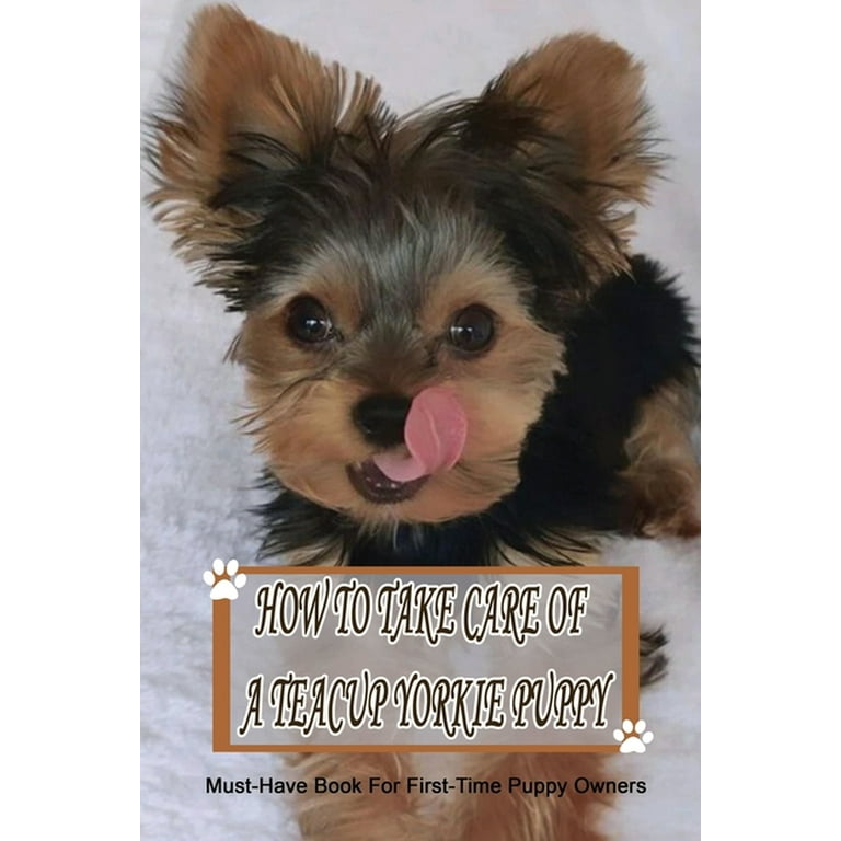 How Many Puppies Does A Yorkie Have The First Time